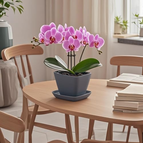 Square Ceramic Plant Saucer Tray 2 Pcs 6 7 8 Inch Grey, 8" OD x6.7 ID x1.2 Deep, Sturdy Heavy Duty Glazed Planter Drip Flower pots with Catch Basin for Indoor Outdoor Plants(8" Grey) - Image 6