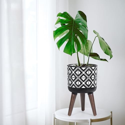 D'vine Dev Planter Pot with Wood Stand, 8 in, White/Black, 88-G-A-4 - Image 7