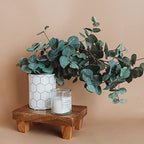 Wooden Tray Pedestal Decor | Display Riser for Plant and Other Home, Kitchen or Bathroom Accessories | Hand Carved Mango Wood 2 Finishes Available (Polished Mango Wood) - Image 3