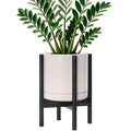 D'vine Dev Ceramic Pot with Ebony Wood Stand, Oatmeal, 10 in, 55-B-L-8 by DvineDevPlanterPotsandStand