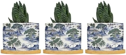 Asian Planter Ceramic Blue and Green Chinoiserie Round Plant Pots with Drainage Holes and Bamboo Tray Pot for Outdoor Garden Home Plant by BRUYU5SE