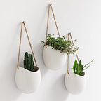 Kazai. Wall Planters -Ellie- | Hanging Ceramic Plant Pots 3 Pieces | Wall Decoration for Indoors, Balcony and Garden | White (Matte) by KAZAI