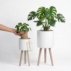 2 Pack Plant Stand Indoor Metal Planter Holder Wooden Leg Modern White by Unknown