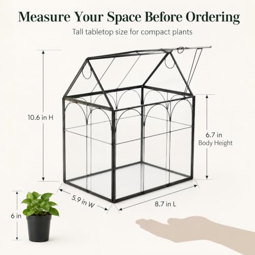 Large Tall Plant Greenhouse Terrarium Glass with Lid, 8.7"X5.9"X10.6" Inches Indoor Tabletop Orchid Succulent Cacti Terrarium Kit NA (House Black A) - Image 5