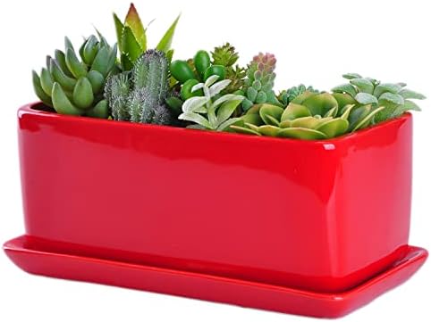 VanEnjoy 10 Inch Red Rectangle Ceramic Succulent Planter Pot Decorative Cactus Plant Pot Flower Container with Ceramic Tray by VanEnjoy