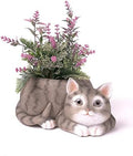 HAUCOZE Cat Planter Succulent Pot Animal Statue Modern Decor 7.9 Inch by HAUCOZE