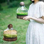 Ecological Fish Bottle Magical Glass Aquarium Micro Ecosphere Transparent Fish Tank Fish Bowel Ecological Teaching for Kids Students, D - Image 4