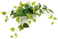 MyGift Vibrant Lifelike Artificial Plant Pothos Leafy Vine Greenery in White Concrete Rectangular Planter Box by MyGiftHome