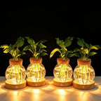 Plant Propagation Station with Light,Everkeen Glass Terrarium with Stepless Dimming Function Hydroponic Glass Container Vase Jars Gardening Gifts for Mom Women Plant Lovers 4 Pack by WelcometoEverkeen