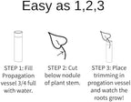 3 Lily Window Plant Propagator- Window Propagation Station with Removable Glass Test Tubes for Indoor Clippings, Cut Flowers, Herbs, Succulents | Home Decor | Plant Lover Gift (3 Lily) - Image 5