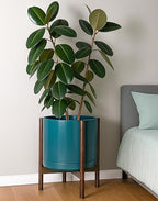 D'vine Dev Ceramic Pot with Walnut Wood Stand, Teal, 14 in, 55-B-T-4 - Image 6