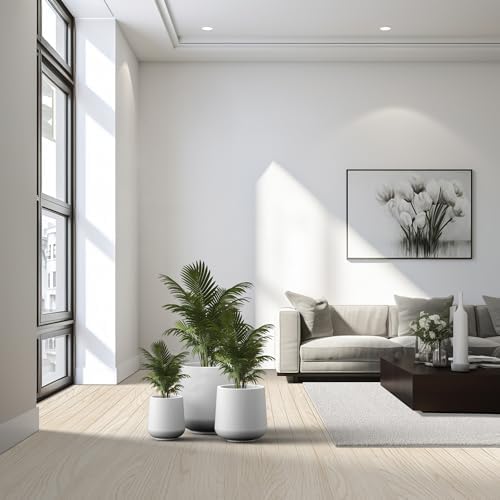 Kante Set of 3 White Concrete Curved Planters 16.5" 13" 9.4" Dia - Image 3