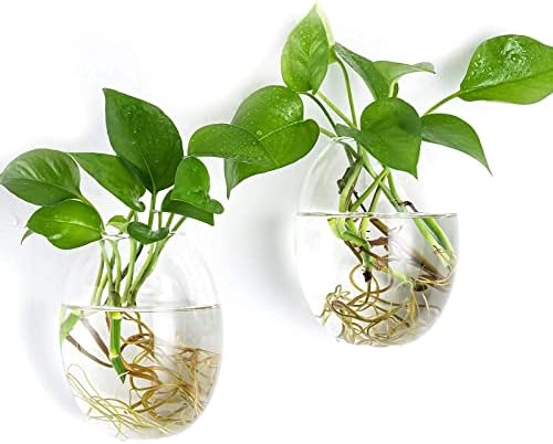 Kingbuy Wall Planter Terrariums Propagation Stations - 2 Cylinder Shaped and 2 Egg Shaped Glass Vases - Image 6