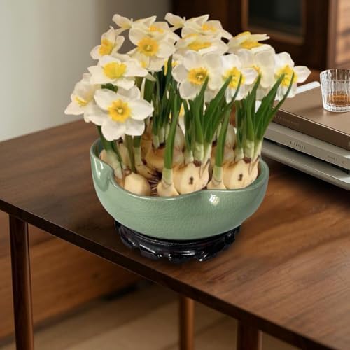 MUZHI Lotus Flower Bowl Planter for Water Lily Seeds 8", Elegant Hole-Free Ice Crack Hydroponic Pink Lotus Plant Bowl Pot with Stand - Image 7