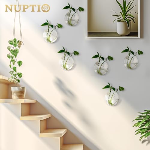 NUPTIO Glass Wall Hanging Planters: Clear Terrarium for Living Room, 12 Pcs - Image 3