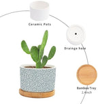 Leopard Light Dot Planters Ceramic African Tribal Animal Print Round Flower Pot with Drainage Holes and Bamboo Tray Pot for Home Office Desk Garden - Image 3