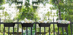 Dahey 15 Inches Railing Planter Box 4 Pcs Metal Hanging Flower Pots, Black - Image 5