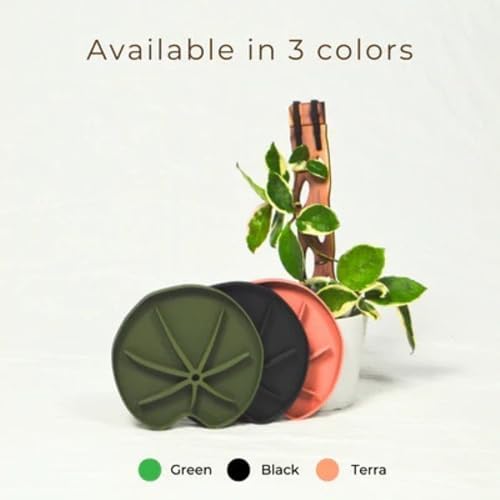 Treleaf Lili Sausr™ – 6" Lily Pad Shaped Plant Saucer & Drip Tray (Set of 4) – Decorative Humidity Tray & Spill Catcher for Indoor Houseplants – 3D Printed Eco-Friendly Design - Green - Image 5