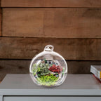 12pcs Glass Globe Terrarium Hanging Xmas Plant Holder for Household - Image 5