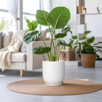 Plant Pot 12 inch - Ceramic Pot for Plants Indoor Outdoor Large Planter Pot with Drainage Hole and Saucer Mid-Century Modern Flower Pot Cylinder White - Image 2