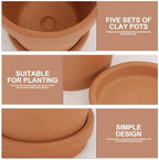balacoo Red Terracotta Succulent Plant Pots with Drainage Saucers, 8x8cm Clay Planters for Outdoor Gardening, 5pcs Set with Trays for Home Patio Plants - Image 3