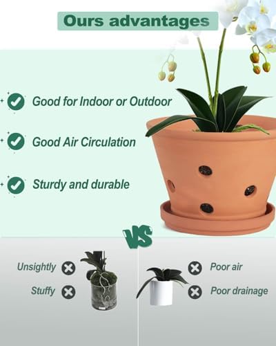 vensovo 4 Inch Terracotta Orchid Pots with Holes and Saucers - 6 Pack Clay Orchid Planter Pots for Repotting, Breathable Flower Pots for Indoor Outdoor, Promotes Air Circulation & Healthy Roots - Image 4