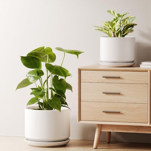 LE TAUCI Ceramic Plant Pots, Set of 2, 8+10 Inch, White by LETAUCI
