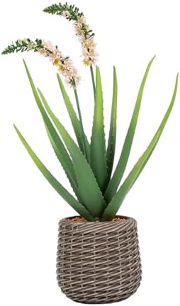 2.5ft Artificial Agave Plants, Fake Aloe Vera Plant with 13 Leaves in Brown Pot, Large Faux Floor Plant for Home Office Hotel Bedroom Patio Balcony or Garden Indoor Decor by Keeplush