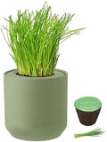 Hydroponic Herb Growing Kit, Self-Watering Kitchen Herb Garden Starter Kit with Green Ceramic Pot and Seeds (Chives) by Environet