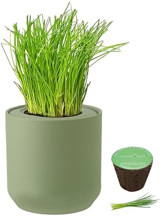Hydroponic Herb Growing Kit, Self-Watering Kitchen Herb Garden Starter Kit with Green Ceramic Pot and Seeds (Chives) by Environet