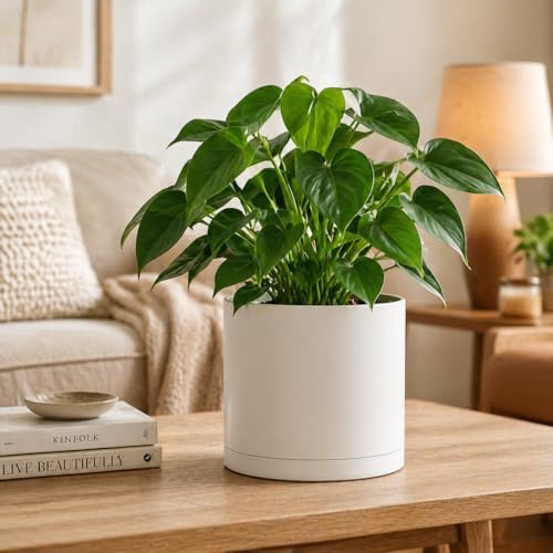 Giraffe Creation 12 Inch Cylinder Plant Pot, Modern Round Planter with Drainage Holes and Saucer, Durable Plastic Flower Pot for Indoor Outdoor Plants, White - Image 7