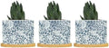 Leopard Dot Planter Ceramic Blue African Tribal Round Plant Pots with Drainage Holes and Bamboo Tray Pot for Succulents Cactus Garden Windowsill by BRUYU5SE