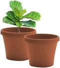 Bloem Terra 24" Plastic Planter, 16 Gallon, Terra Cotta, 2-Pack by Bloem