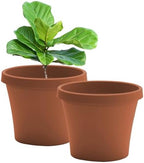 Bloem Terra 16" Plastic Planter, 8 Gallon, Terra Cotta, 2-Pack by Bloem