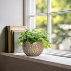 Ceramic Plant Pots - 6 Inch Plant Pot with Drainage Hole and Plug, Unique Planter for Indoor Plants Outdoor, Modern Planter, Round Orchid Pot, Room Decor, House Warming Gifts, Speckled-brown - Image 3