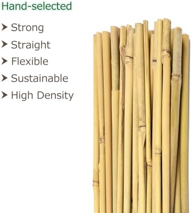 Cambaverd Bamboo Stakes 6 Feet, Tall Garden Stakes, 20 Pack Bamboo Poles - Image 2