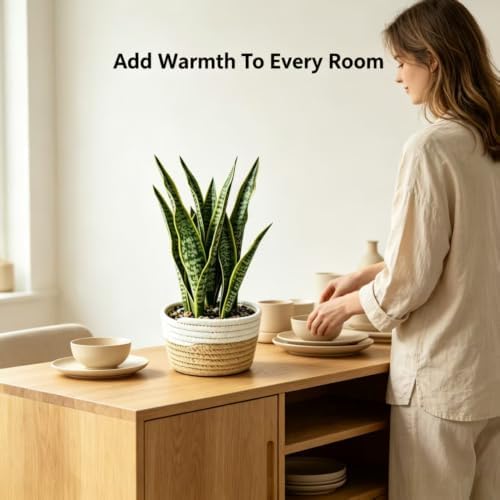 15"Artificial Snake Plant in Handwoven Rattan Planter Sansevieria Faux Indoor Branches with Lush Realistic Green Leaves Fake Potted Plants for Desk Living Room Office, Bedroom Home and Indoor Decor - Image 6