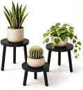 Delma Wood Plant Stands 3-Pack Indoor, Plant Stool, Black by Delma