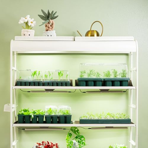 Vego garden Seedling Dome Cover 10" x 10" Food-Grade PET Plastic with Drip Irrigation & Vented Airflow for Seeds Growing Starting (8-Pack) - Image 5