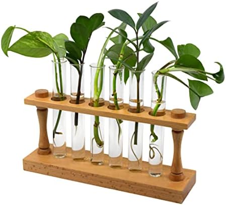 hBARSCI Premium Plant Propagation Station - Decorative Hardwood Stand with 6 Glass Tubes for Plant Cuttings, Hydroponic Plants, Flower Vase Home Decor by hBARSCI