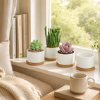 ZOUTOG 8 Pack 3.6" Ceramic Succulent Pots,White Planter with Drainage Tray - Image 6