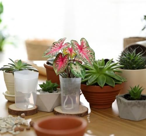 LemonRoad 20 Pack 2.5" Small Self Watering Pots for Indoor Plants - Image 6