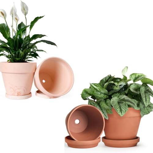 INGOFIN Terracotta Pots Set with Saucer - 4-Pack Ceramic Clay Planters with Drainage Hole, Garden Flower Succulent Pots with Tray for Indoor Outdoor Plants, 8 inch, Set of 4 by INGOFIN