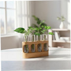 Plant Propagation Station Decorative Propagation Station with Adjustable LED Light Wood Stand & 4 Glass Test Tubes for Hydroponic Plants - Image 3