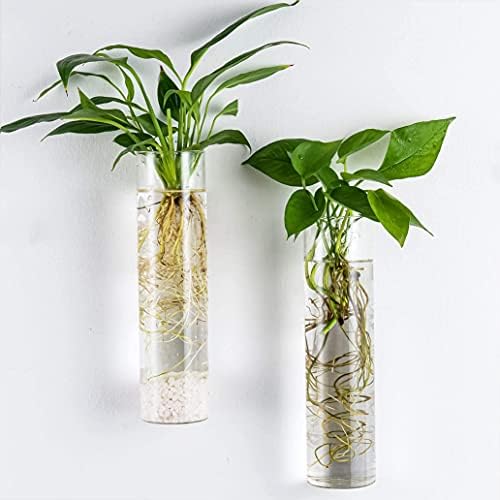 Kingbuy Wall Planter Terrariums Propagation Stations - 2 Cylinder Shaped and 2 Egg Shaped Glass Vases - Image 4