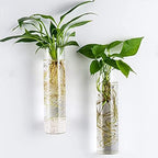 Kingbuy Wall Planter Terrariums Propagation Stations - 2 Cylinder Shaped and 2 Egg Shaped Glass Vases - Image 4