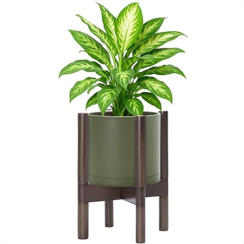 D'vine Dev Plastic Pot with Walnut Wood Stand, Olive, 8 in, 55-C-I-3 by DvineDevPlanterPotsandStand