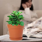 WOUSIWER 16 Pack 6 inch Plastic Planters, Plastic Indoor Planter Flower Pots, Heavy Duty and Stylish 6 Inch Plant Pots for Indoor Plants with Drainage Holes and Tray for Plants, Flowers, Terracotta - Image 7