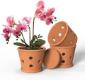 Terracotta Orchid Pots, 6 Inch Orchid Pot with Holes and Saucers 3 Pcs, Clay Orchid Planter Pots for Repotting, Terra Cotta Pot Large Bulk Flower Pot for Indoor Outdoor Promotes Air Circulation by Ysditrk