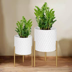 ARNIS Plants Pots with Stand, Set of 2 P lanters, Unique Mid Century Decorative Metal Flower Pots with Drainage, 8.25 & 10.5 Inch, White and Gold - Image 7
